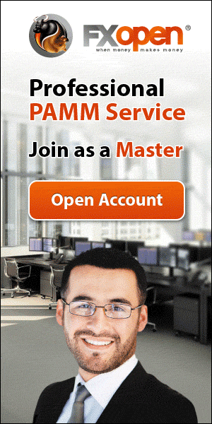 Professional_PAMM_Service-ENG_300x600.gif